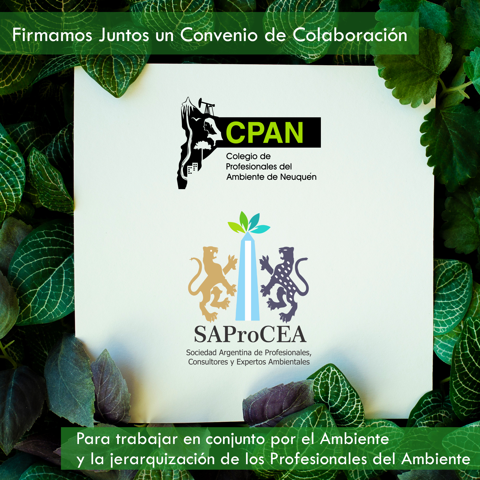 Convenio-de-Colaboración-CPAN---SAProCEA